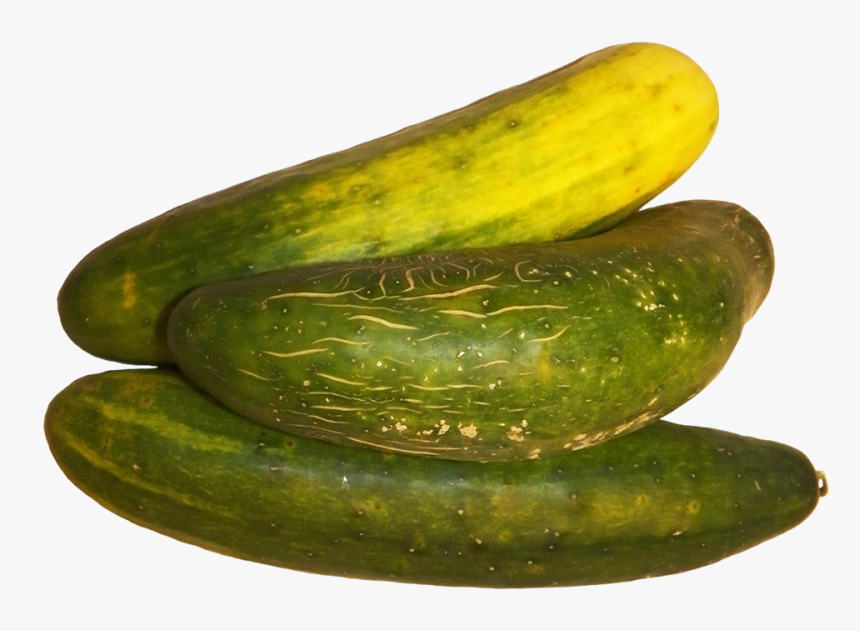 Three Cucumbers Clipart - Spreewald Gherkins, HD Png Download