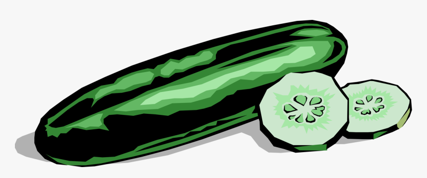 Vector Illustration Of Culinary Edible Vegetable Cucumber - Cucumber Clipart, HD Png Download