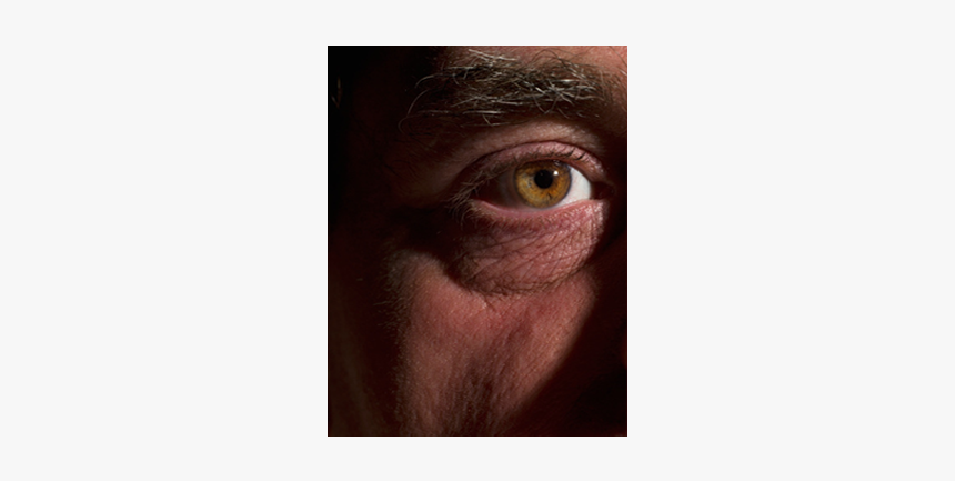 Dry Eyes - Macaque, HD Png Download