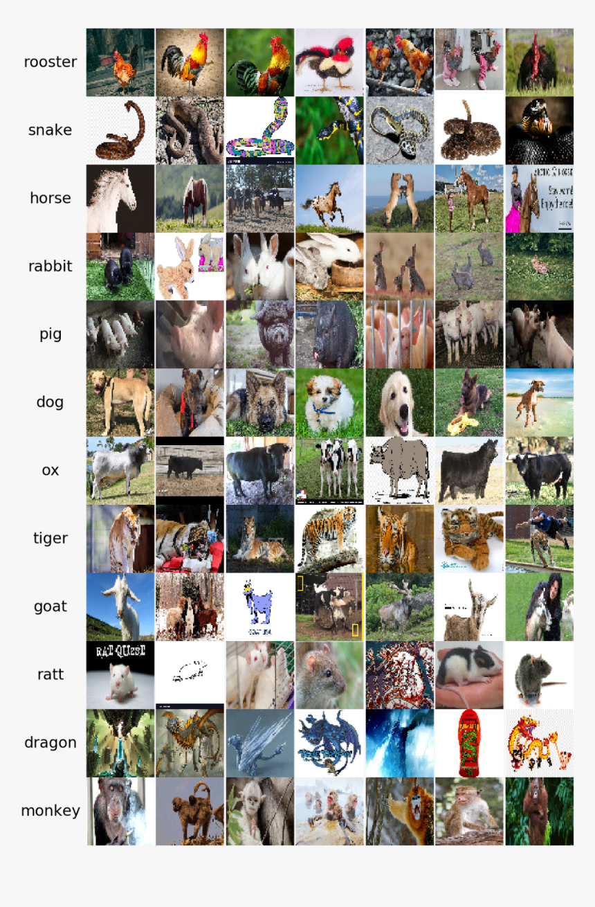 Collage, HD Png Download