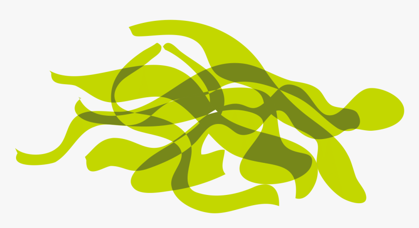 Clip Picture Kelp - Graphic Design, HD Png Download