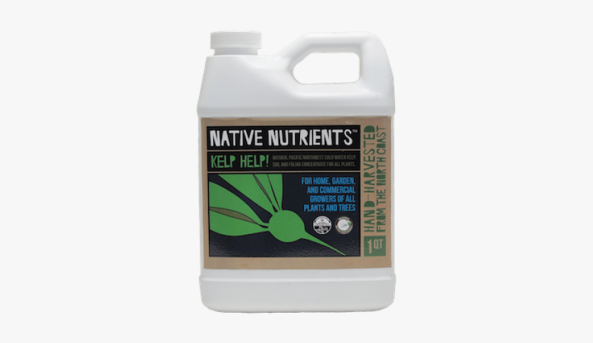 Mosquito, HD Png Download