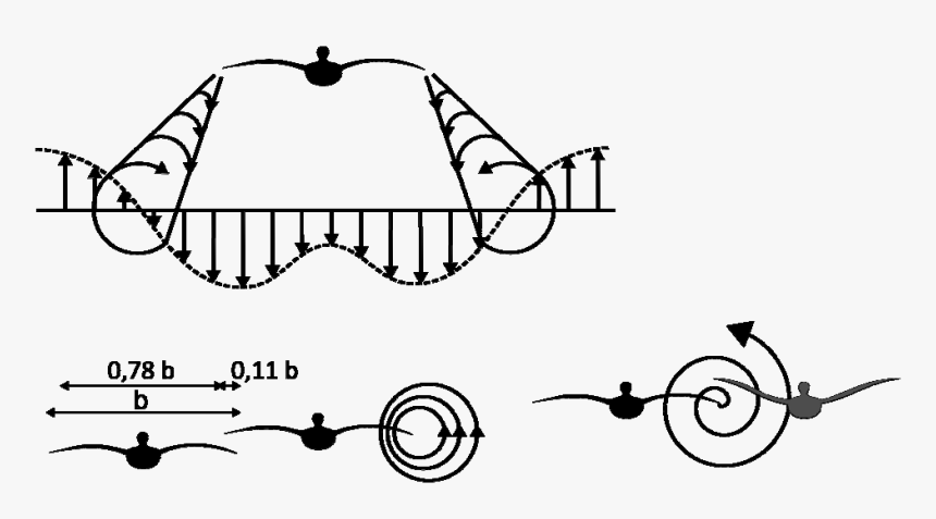 Line Art, HD Png Download