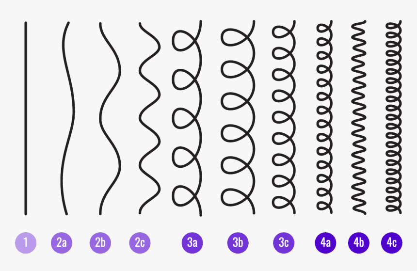 Hair Types By Strand - 4c Hair Edge Control Gel, HD Png Download