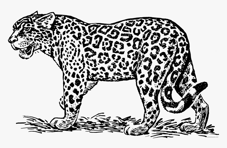 Jaguar Transparent Black And White - Clip Art Black And White Jaguar, HD Png Download