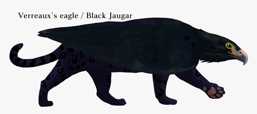 Mongoose, HD Png Download