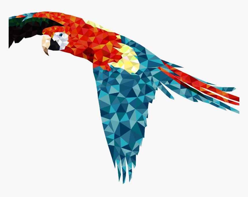Parrot Low Res - Macaw, HD Png Download