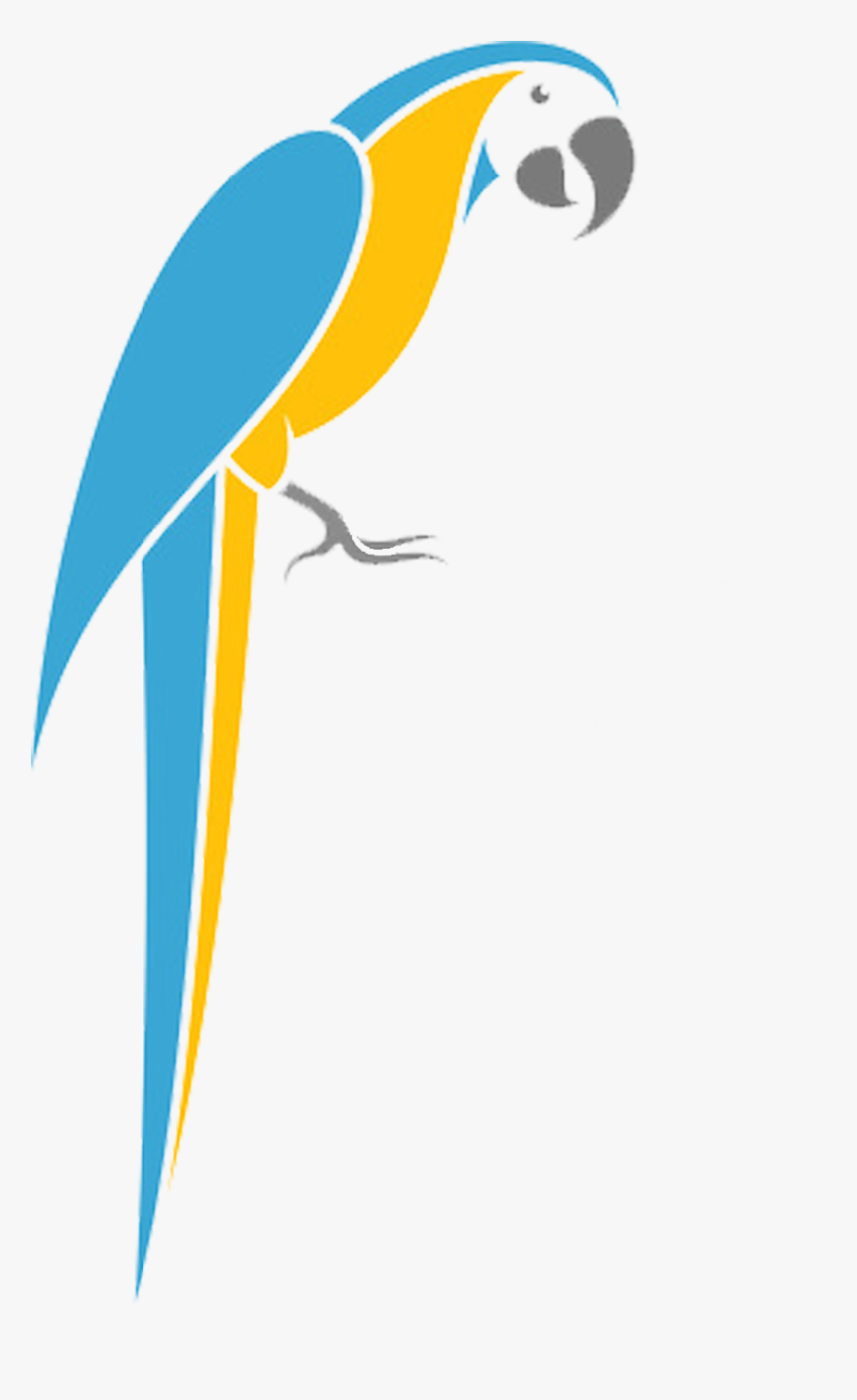 Macaw , Png Download - Perroquet Stylisé, Transparent Png