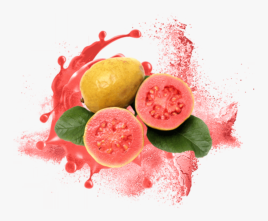 Odoo • Text And Image - Fruits From Brazil, HD Png Download