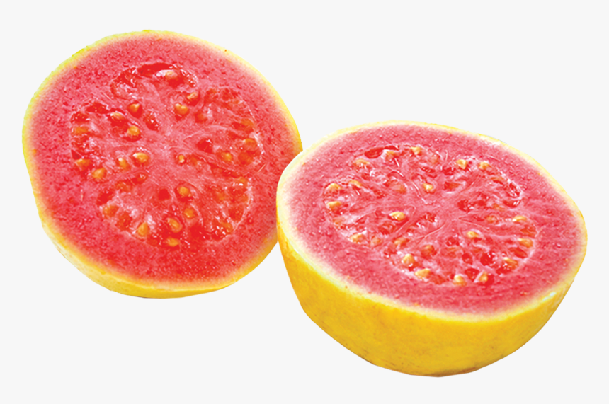 Common Guava, HD Png Download
