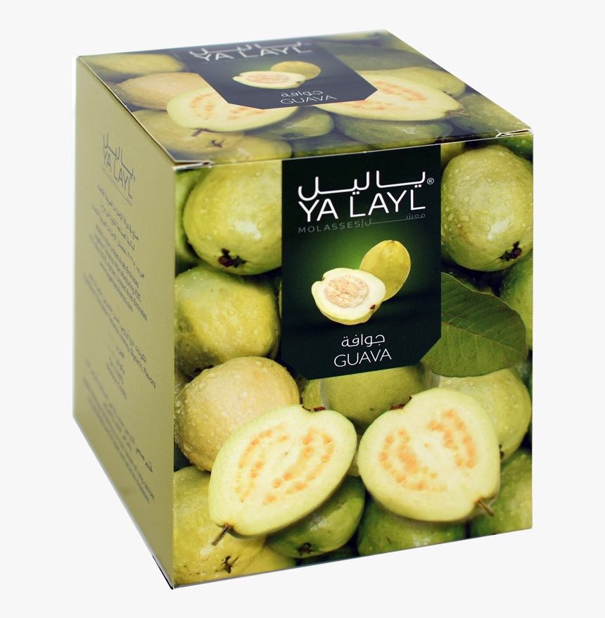 Guava 
 Title Guava - Common Guava, HD Png Download