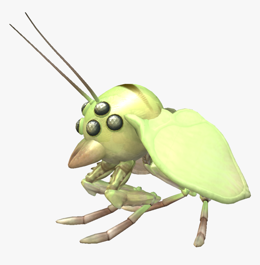 Grasshopper, HD Png Download