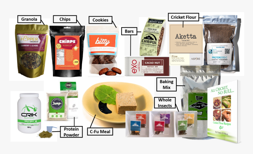 A Sample Of Curry S Bugwall Edible Insect Stock, From - Big Wall Climbing Food, HD Png Download