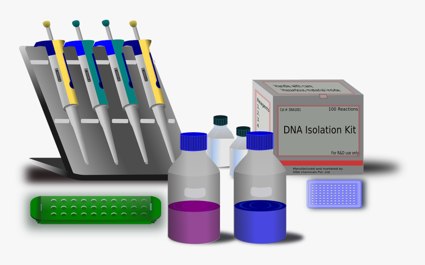 Molecular Biology Png, Transparent Png