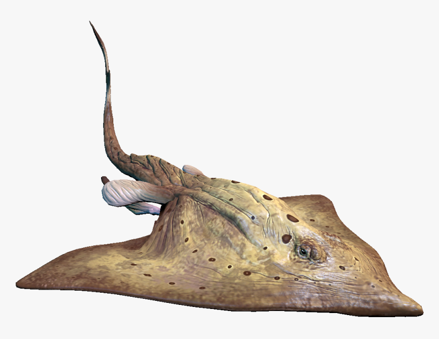 Warframe Wiki - Warframe Sand Skate, HD Png Download