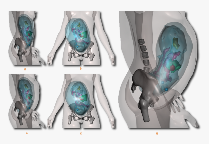 Physics-based Modeling Of The Pregnant Woman - Front View Of Pregnant Woman, HD Png Download