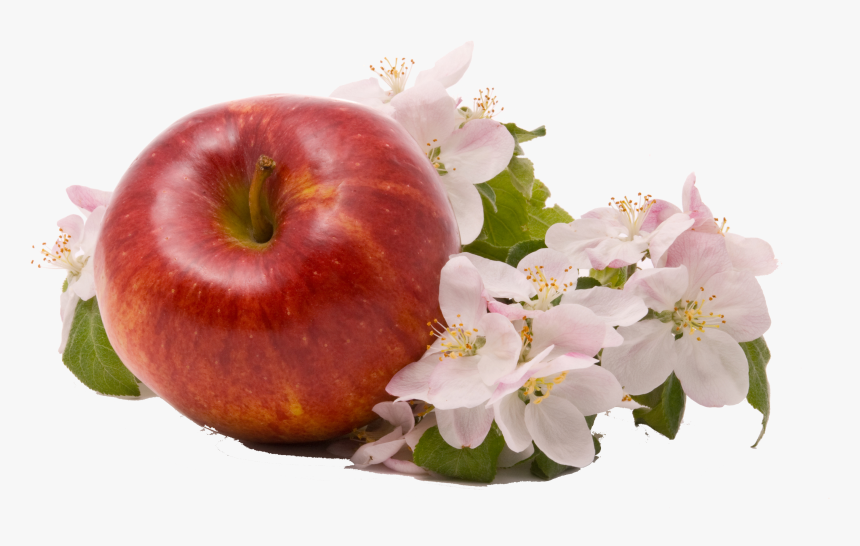 Кухня С Фотопечать Яблоко, HD Png Download