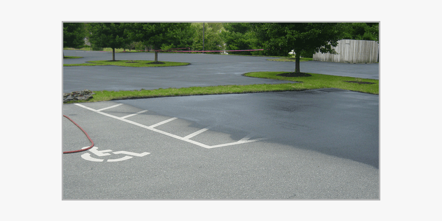 Green Trees With Green Grass Near The Smooth Asphalt - Street, HD Png Download