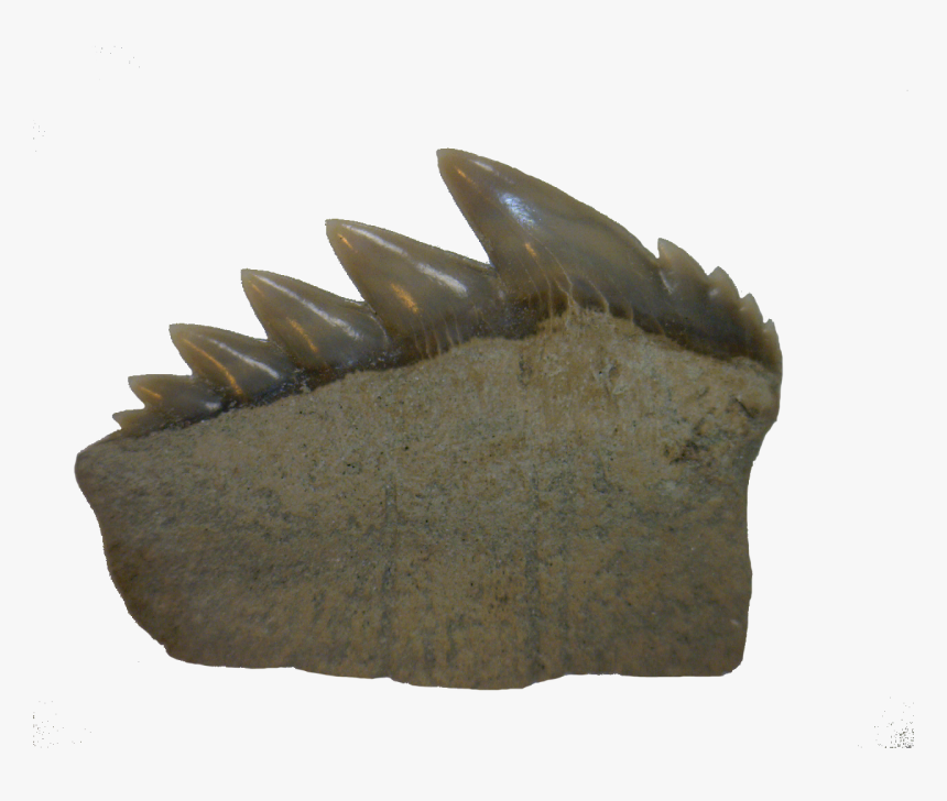 Bronze Sculpture, HD Png Download