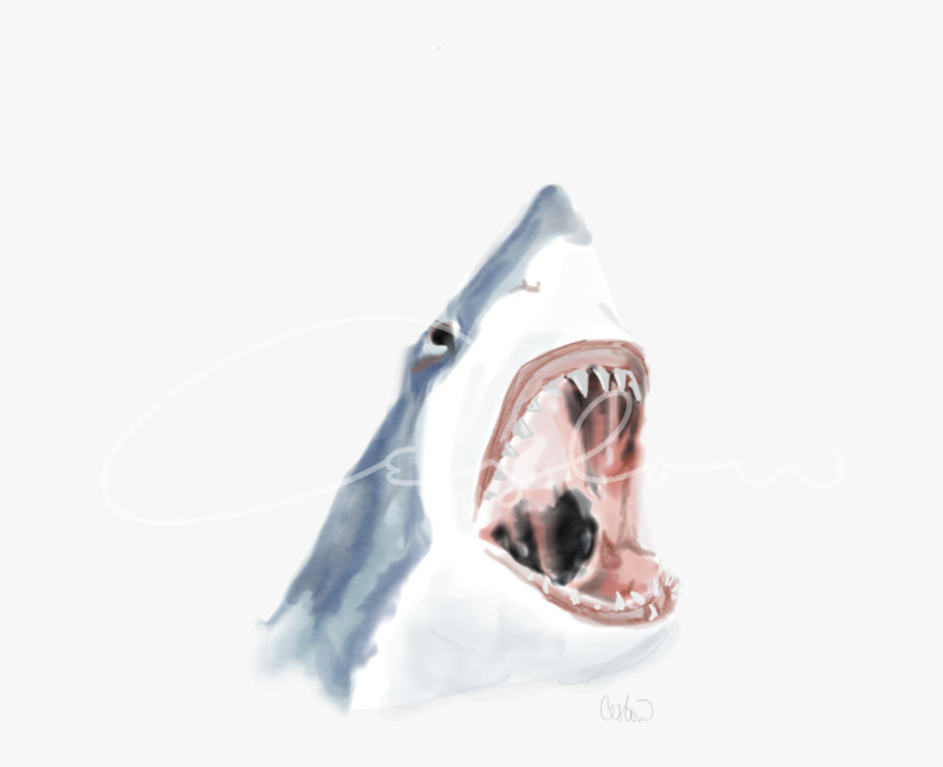 Great White Shark, HD Png Download