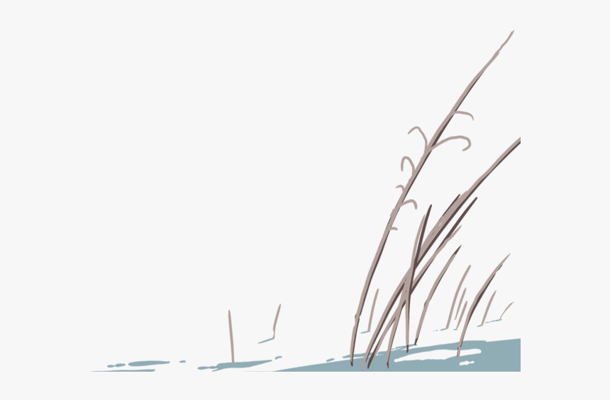 Illustration Of Tall Dead Grass In The Foreground - Narrow-body Aircraft, HD Png Download