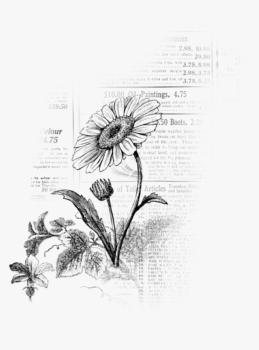 Sketch, HD Png Download