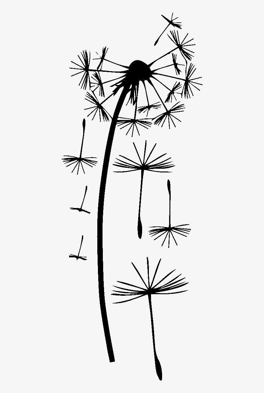Dandelion, HD Png Download