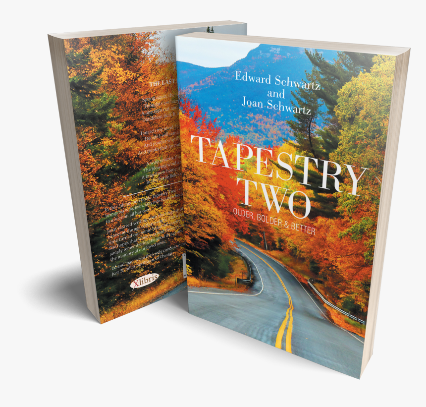 Autumn, HD Png Download