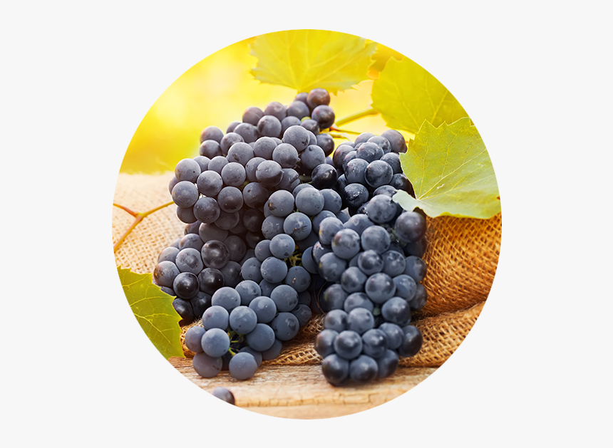 Grape, HD Png Download