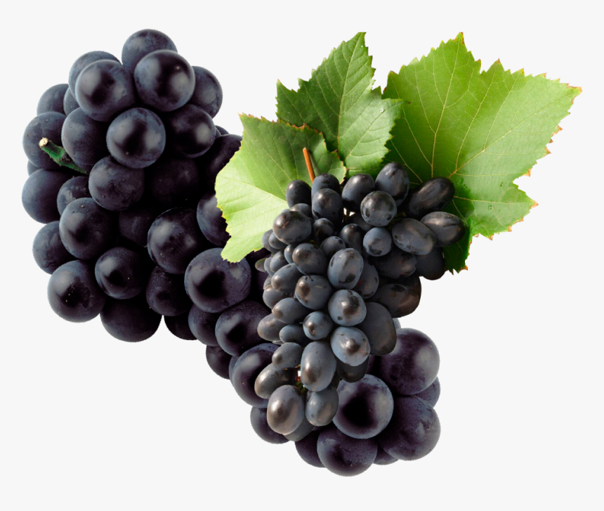 Black Grapes Png, Transparent Png