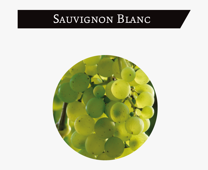 Frutas No Pe Gratis, HD Png Download