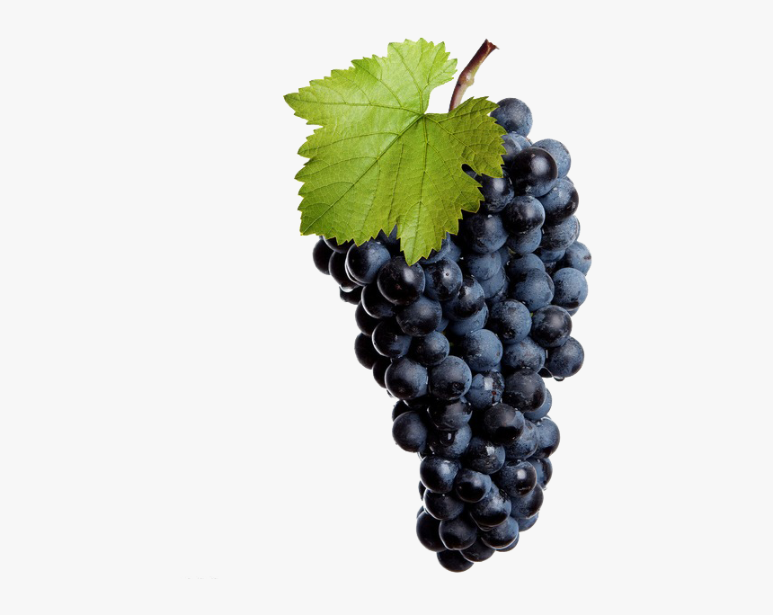 Red Wine Grapes Png, Transparent Png
