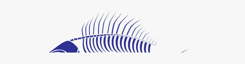 Blue,angle,area - Loon, HD Png Download