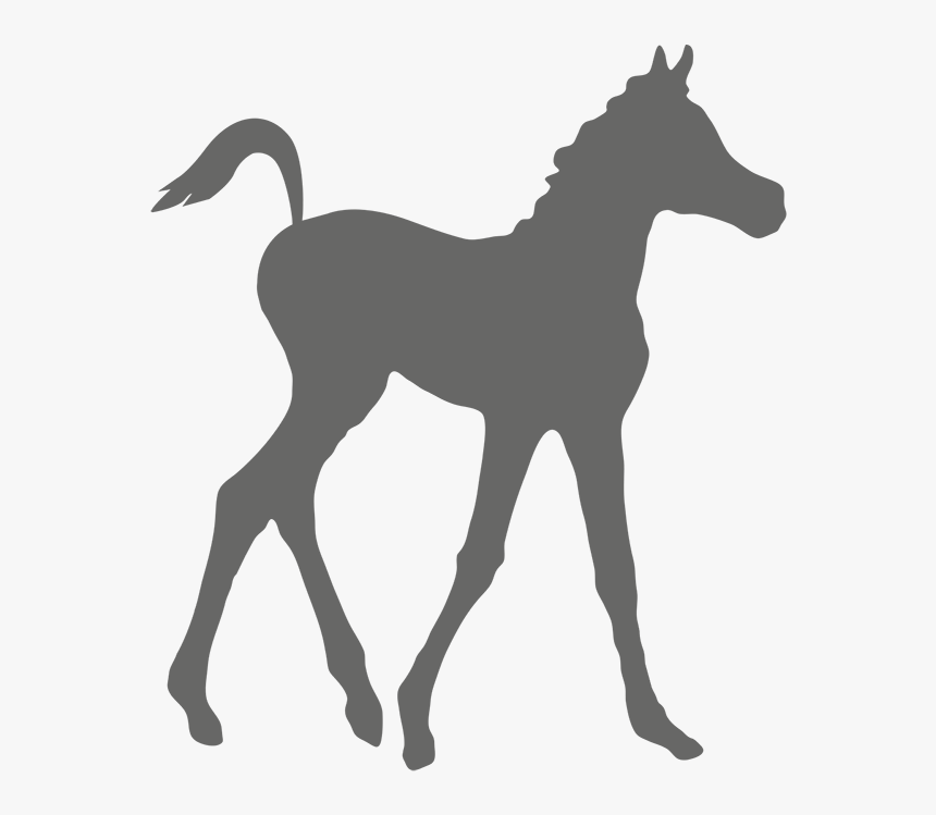 Silhouette, HD Png Download