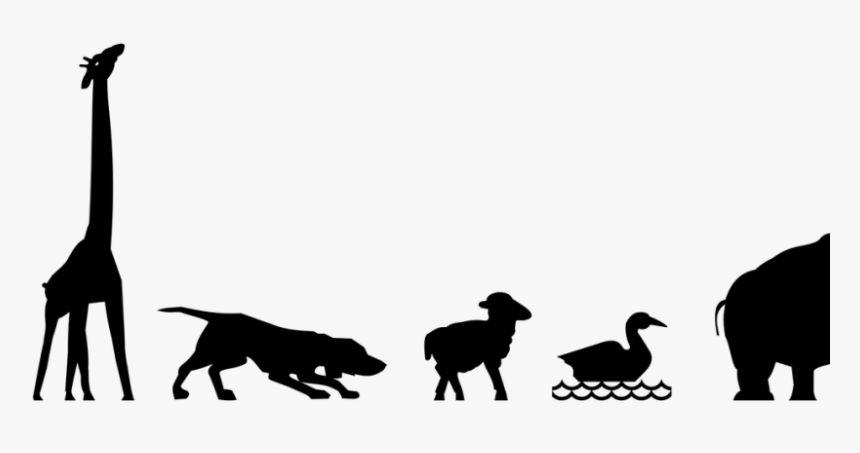 Animals - Arabic Poems For Beginners, HD Png Download