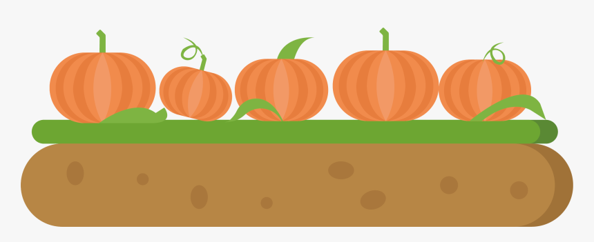 Pumpkin, HD Png Download