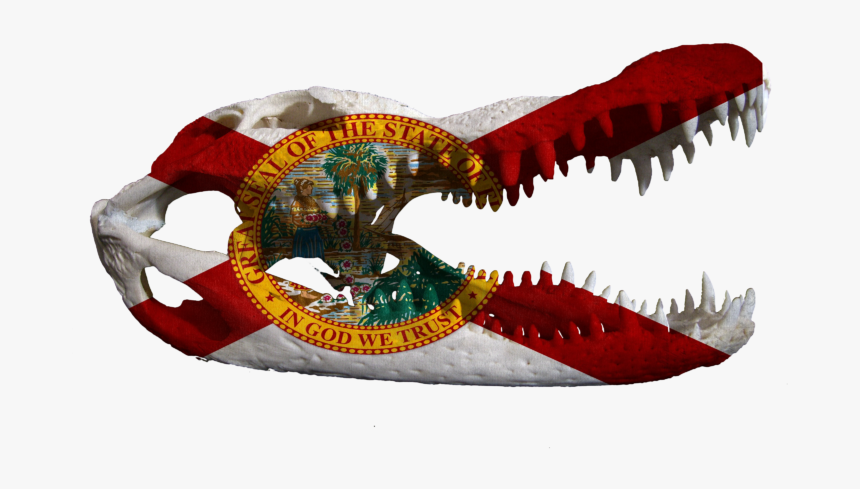 Florida Flag Gator Head, HD Png Download