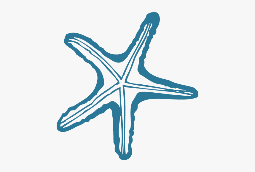 Starfish, HD Png Download