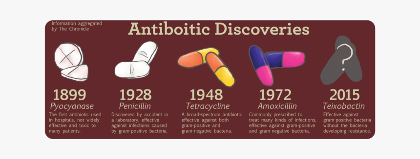 Antibiotic Discoveries - Pharmacy, HD Png Download