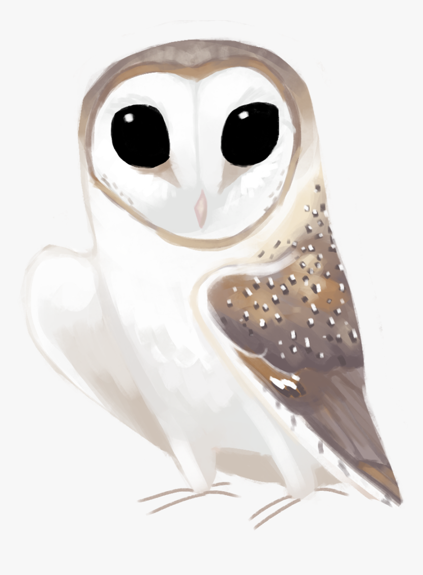 Eastern Barn Owl Tyto Delicatula - Barn Owl, HD Png Download