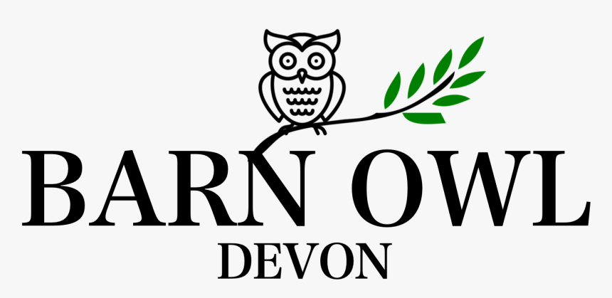 Barn Owl - Cartoon, HD Png Download