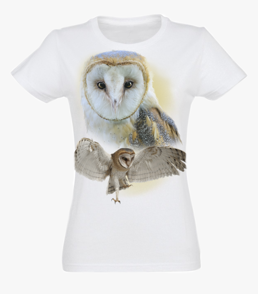 Barn Owl, HD Png Download