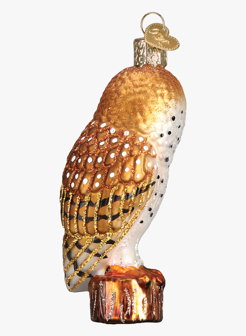 Red Shouldered Hawk, HD Png Download