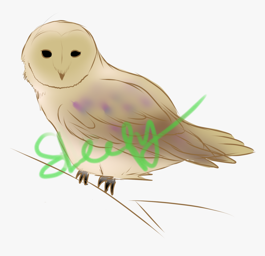 Yn33lrn - Snowy Owl, HD Png Download