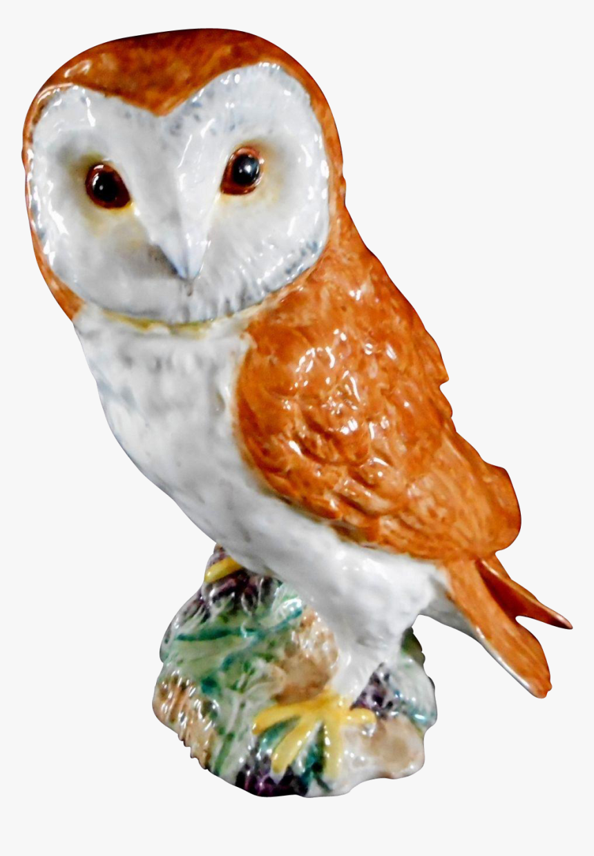 Barn Owl, HD Png Download