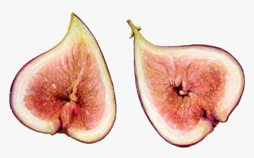 Cluster Fig Tree, HD Png Download