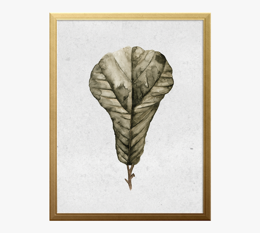 Fig Branch Art Print - Sketch, HD Png Download