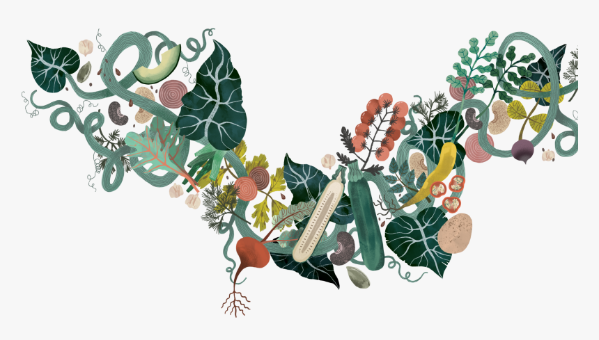 The Fig - Illustration, HD Png Download