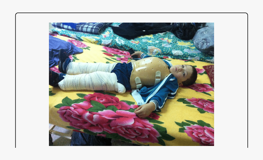 Garden Roses, HD Png Download