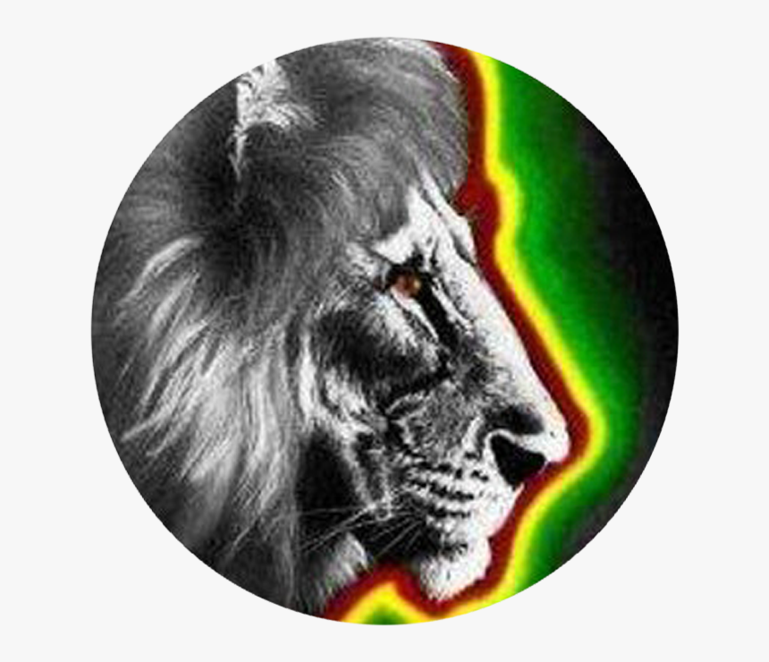 Rasta Roots, HD Png Download